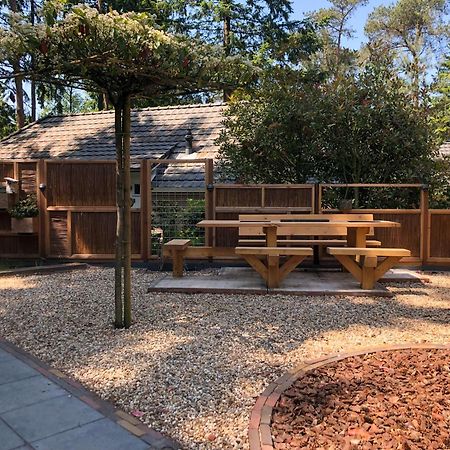 Veluwe Vakantiehuis - Bosuil Lodge Люнтерен Экстерьер фото