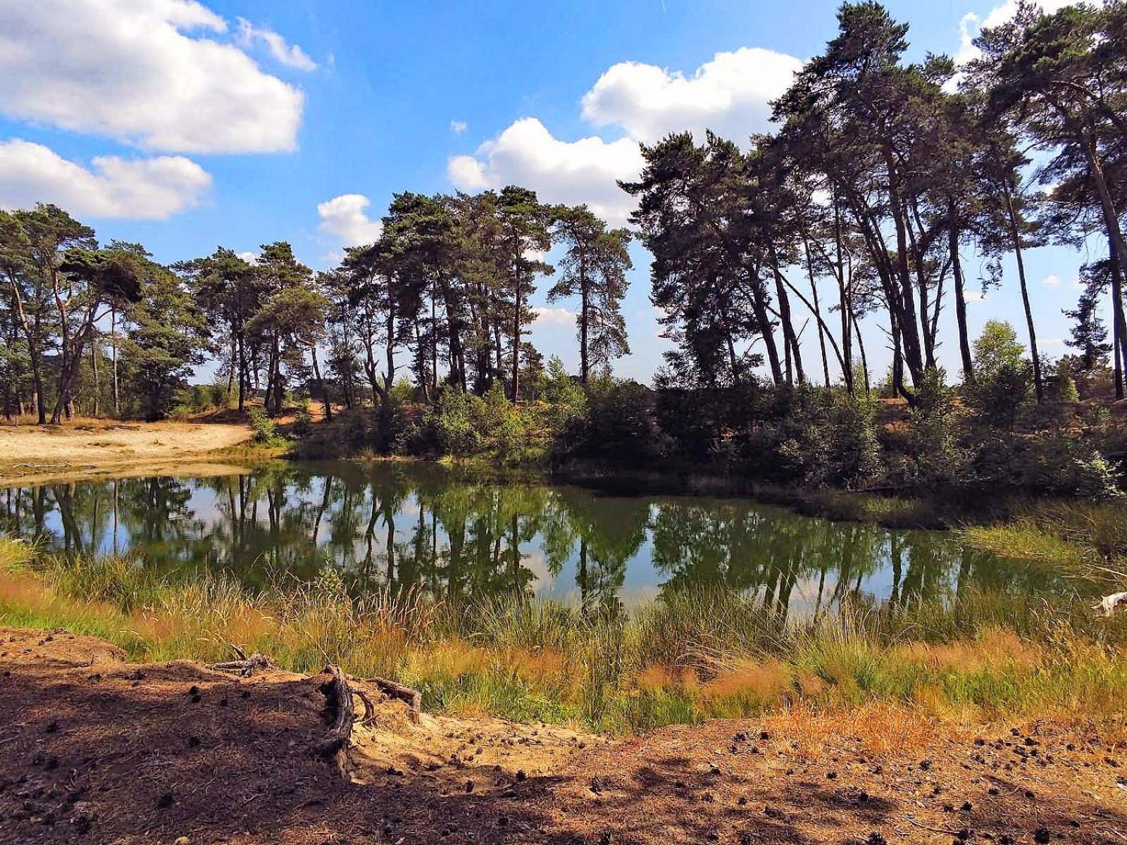 Veluwe Vakantiehuis - Bosuil Lodge Люнтерен Экстерьер фото